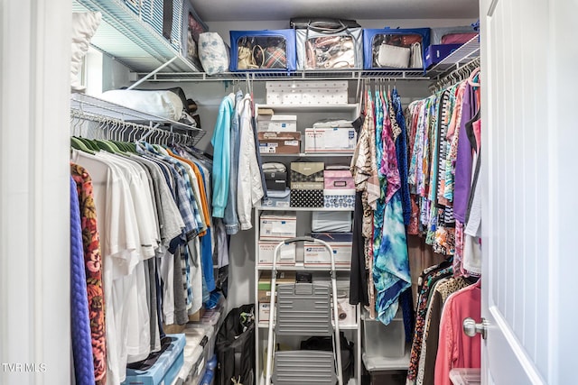 view of walk in closet