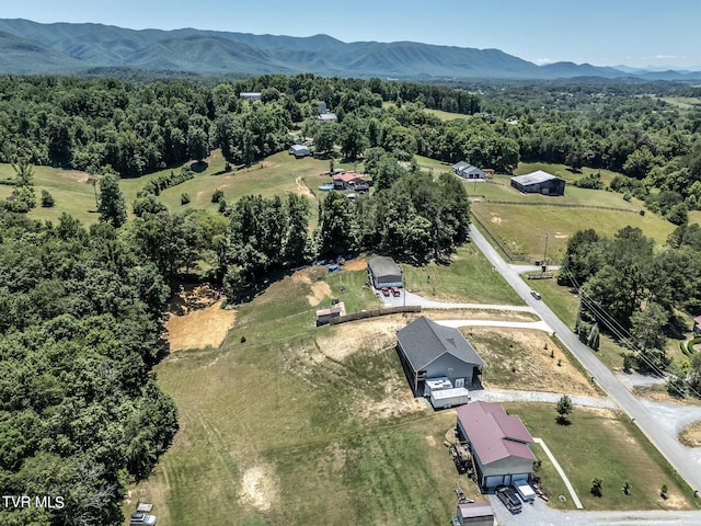 aerial view with a mountain view