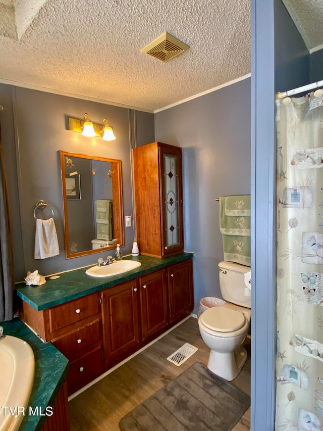 bathroom featuring a textured ceiling, hardwood / wood-style floors, and vanity