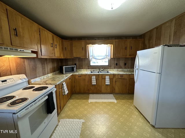 330 Pates Hill Rd, Mosheim, TN 37818 - photo 24