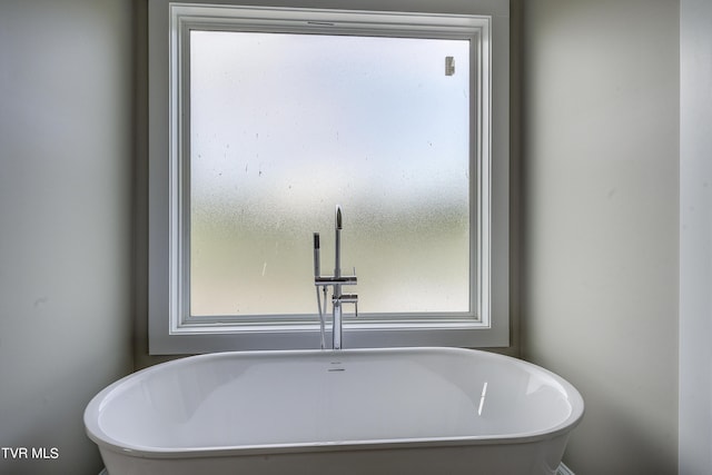 bathroom featuring a bathing tub