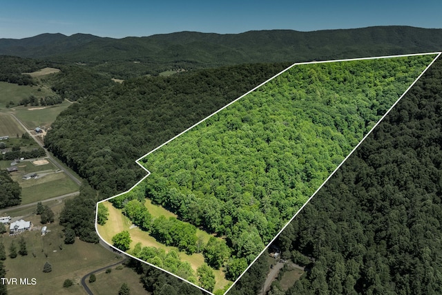 000 Copperhead Hollow Rd, Mountain City TN, 37683 land for sale