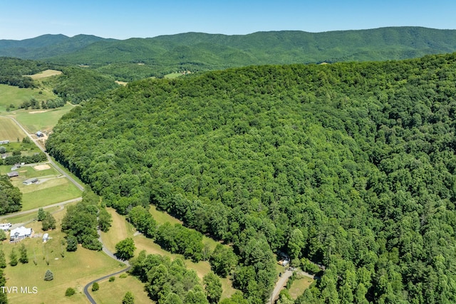 000 Copperhead Hollow Rd, Mountain City, TN 37683 - photo 2