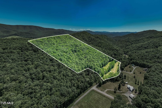 000 Copperhead Hollow Rd, Mountain City, TN 37683 - photo 3