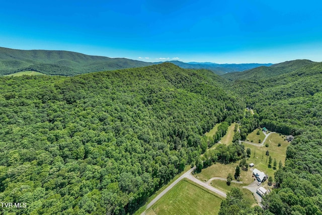 000 Copperhead Hollow Rd, Mountain City, TN 37683 - photo 4