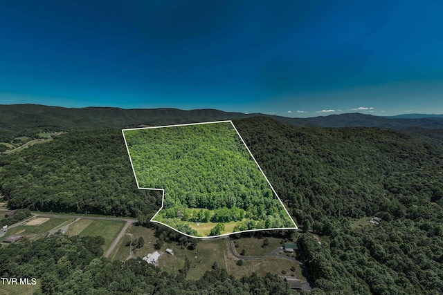 000 Copperhead Hollow Rd, Mountain City, TN 37683 - photo 5
