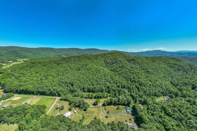 000 Copperhead Hollow Rd, Mountain City, TN 37683 - photo 6