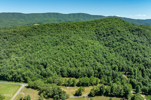000 Copperhead Hollow Rd, Mountain City, TN 37683 - photo 7