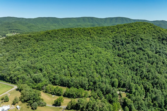 000 Copperhead Hollow Rd, Mountain City, TN 37683 - photo 8