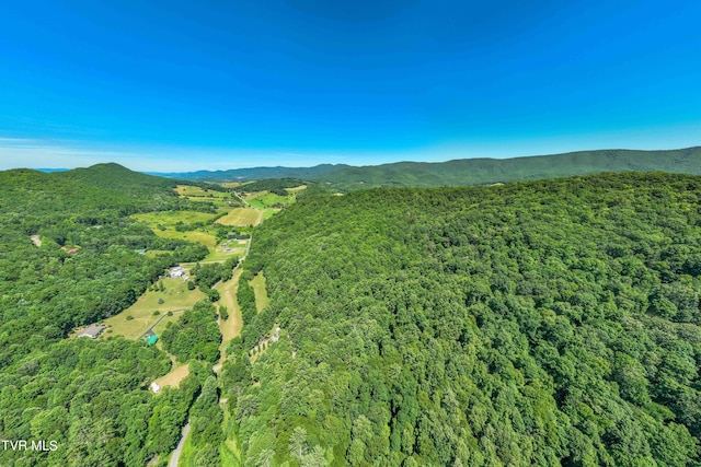 000 Copperhead Hollow Rd, Mountain City, TN 37683 - photo 9
