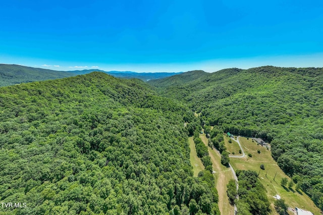 000 Copperhead Hollow Rd, Mountain City, TN 37683 - photo 10