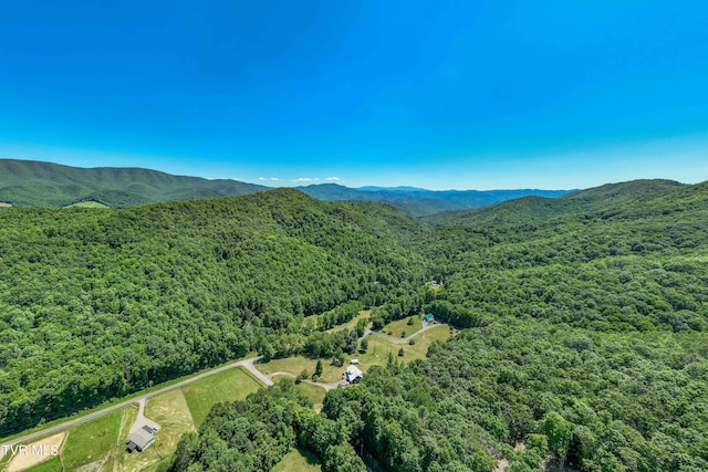 000 Copperhead Hollow Rd, Mountain City, TN 37683 - photo 11