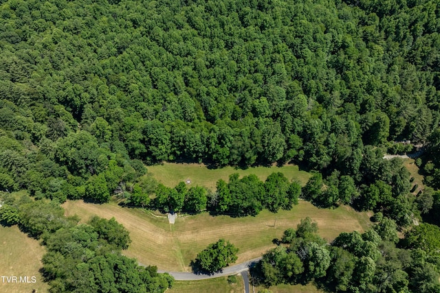 000 Copperhead Hollow Rd, Mountain City, TN 37683 - photo 12