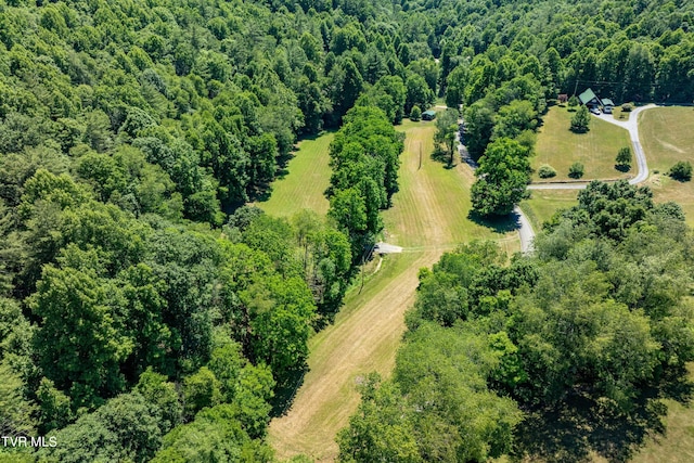 000 Copperhead Hollow Rd, Mountain City, TN 37683 - photo 13