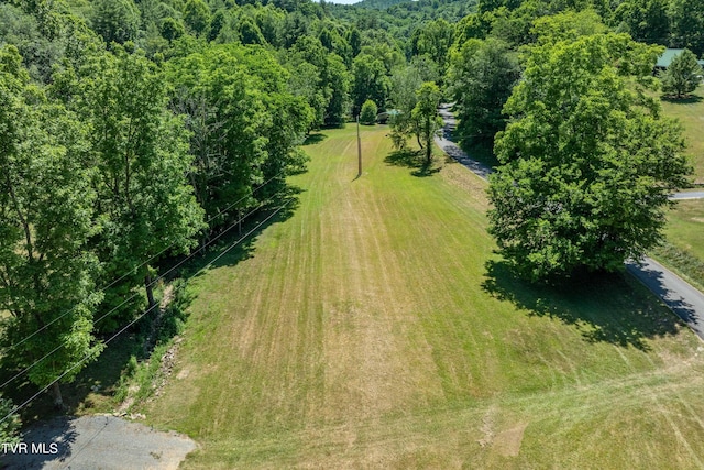 000 Copperhead Hollow Rd, Mountain City, TN 37683 - photo 14