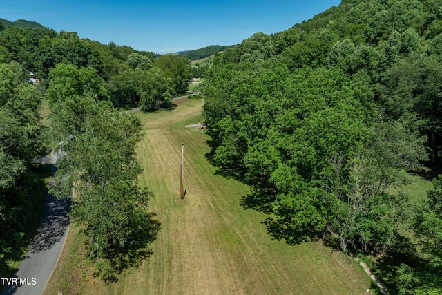 000 Copperhead Hollow Rd, Mountain City, TN 37683 - photo 16