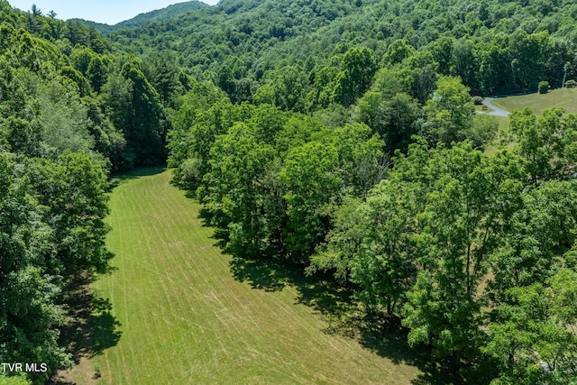 000 Copperhead Hollow Rd, Mountain City, TN 37683 - photo 18