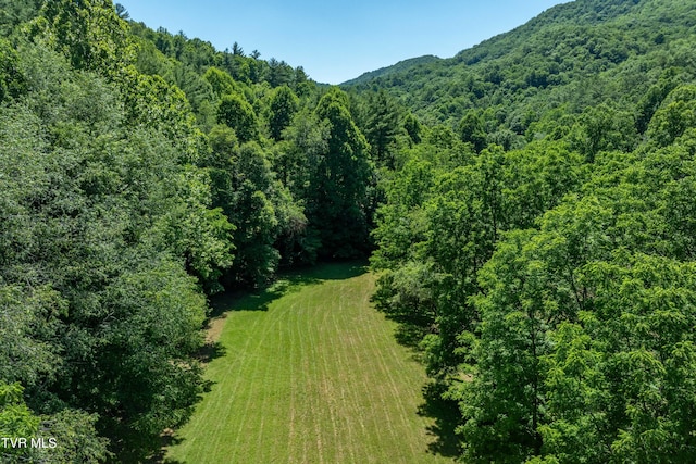 000 Copperhead Hollow Rd, Mountain City, TN 37683 - photo 19