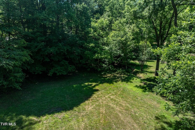 000 Copperhead Hollow Rd, Mountain City, TN 37683 - photo 20