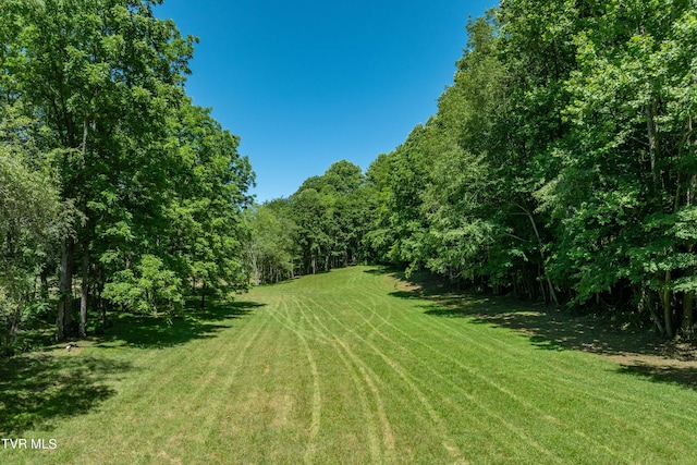 000 Copperhead Hollow Rd, Mountain City, TN 37683 - photo 21