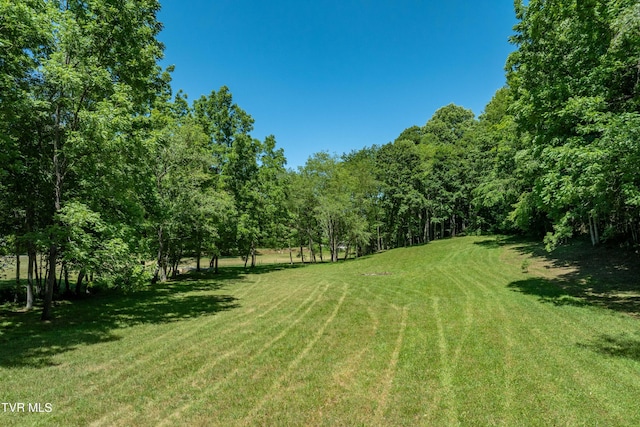 000 Copperhead Hollow Rd, Mountain City, TN 37683 - photo 22