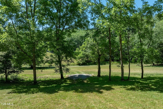 000 Copperhead Hollow Rd, Mountain City, TN 37683 - photo 23
