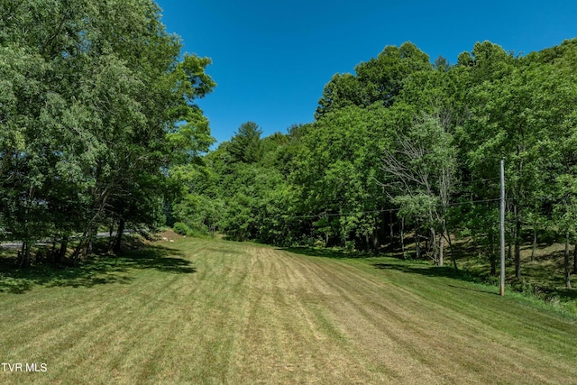 000 Copperhead Hollow Rd, Mountain City, TN 37683 - photo 24