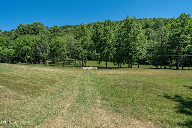 000 Copperhead Hollow Rd, Mountain City, TN 37683 - photo 25