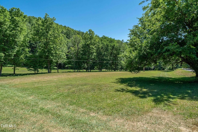 000 Copperhead Hollow Rd, Mountain City, TN 37683 - photo 26