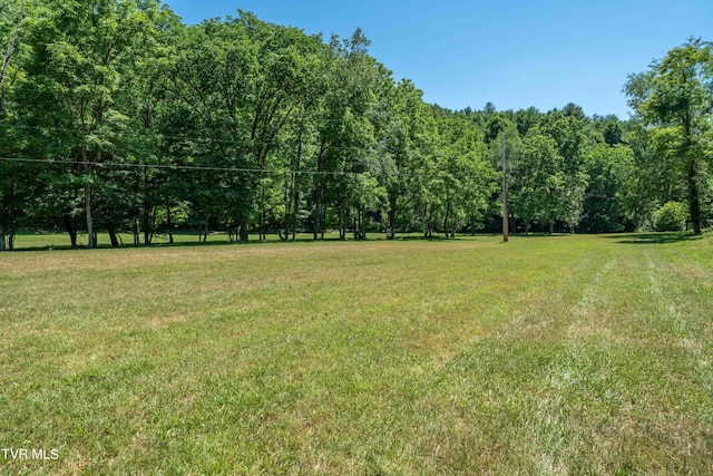 000 Copperhead Hollow Rd, Mountain City, TN 37683 - photo 27