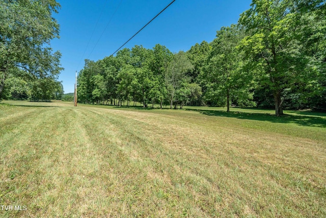 000 Copperhead Hollow Rd, Mountain City, TN 37683 - photo 29
