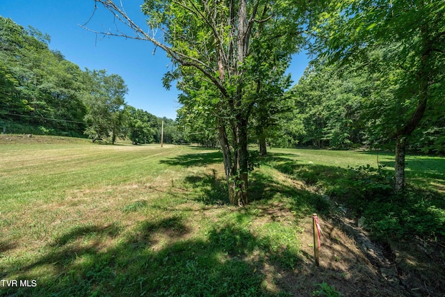 000 Copperhead Hollow Rd, Mountain City, TN 37683 - photo 30