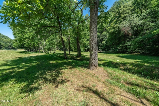000 Copperhead Hollow Rd, Mountain City, TN 37683 - photo 31