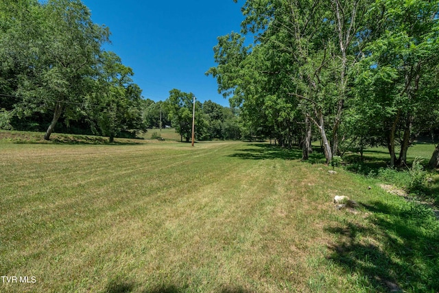 000 Copperhead Hollow Rd, Mountain City, TN 37683 - photo 32