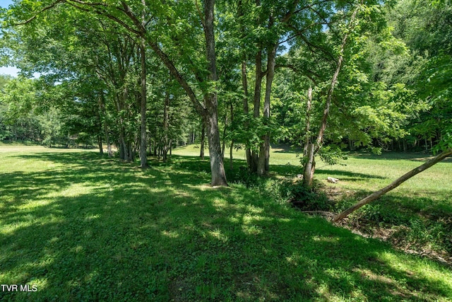 000 Copperhead Hollow Rd, Mountain City, TN 37683 - photo 33