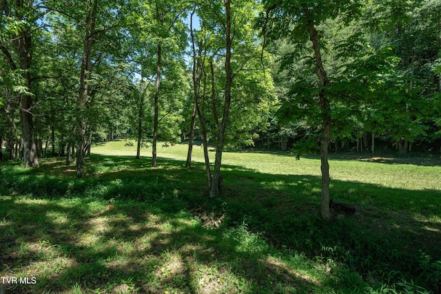 000 Copperhead Hollow Rd, Mountain City, TN 37683 - photo 34