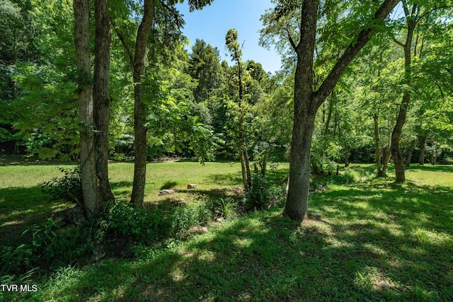 000 Copperhead Hollow Rd, Mountain City, TN 37683 - photo 35