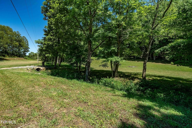 000 Copperhead Hollow Rd, Mountain City, TN 37683 - photo 36