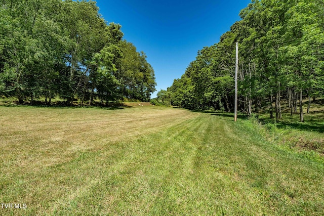 000 Copperhead Hollow Rd, Mountain City, TN 37683 - photo 37