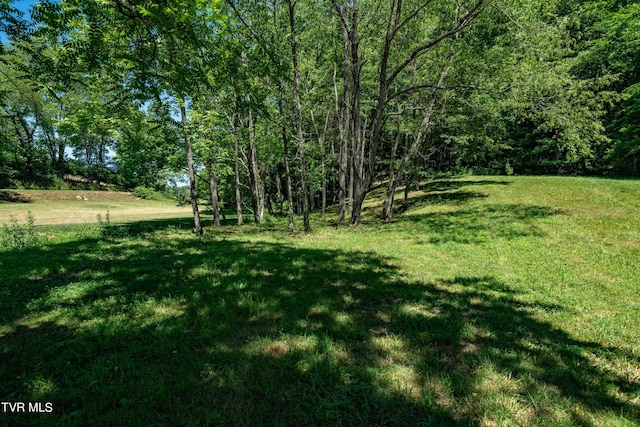 000 Copperhead Hollow Rd, Mountain City, TN 37683 - photo 39