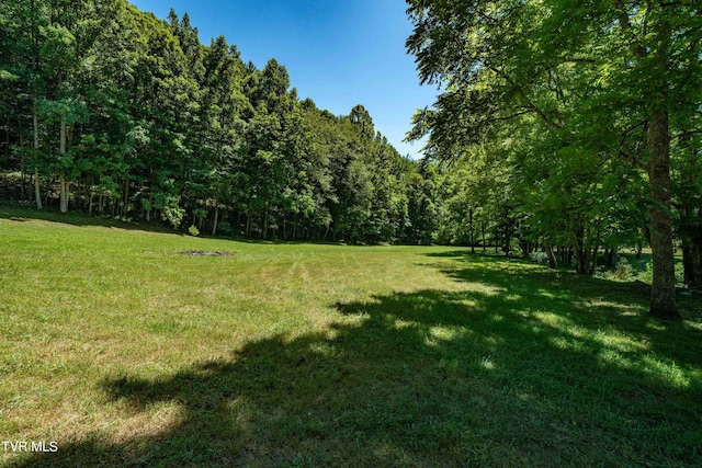 000 Copperhead Hollow Rd, Mountain City, TN 37683 - photo 40