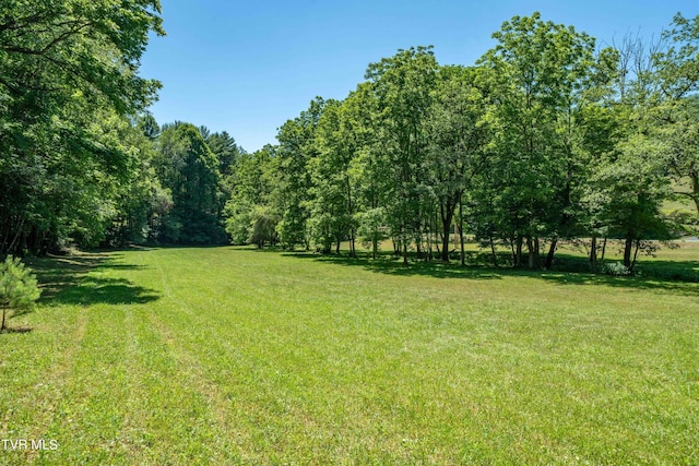 000 Copperhead Hollow Rd, Mountain City, TN 37683 - photo 41