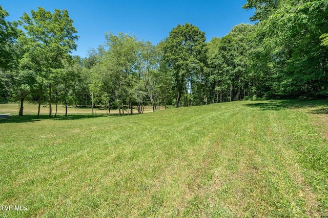 000 Copperhead Hollow Rd, Mountain City, TN 37683 - photo 42