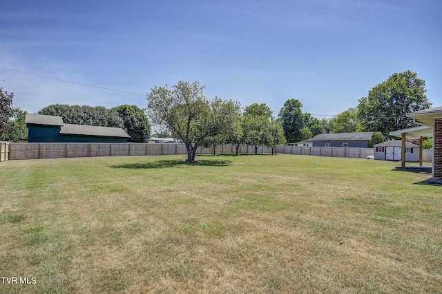 view of yard with a storage shed