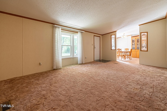 spare room featuring crown molding, carpet flooring, and a textured ceiling