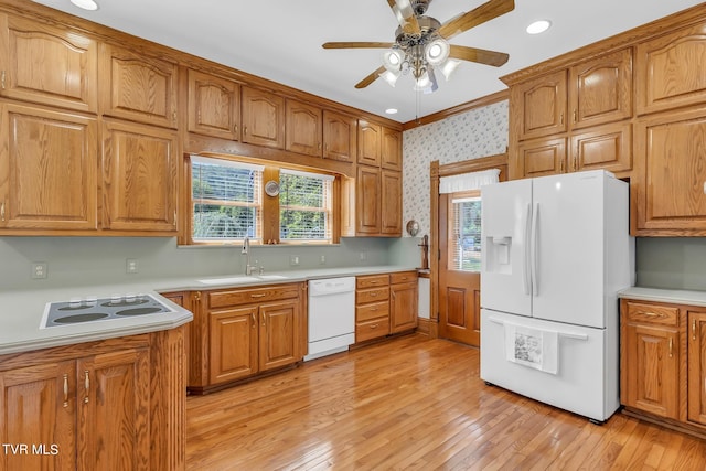 kitchen with ceiling fan, sink, light hardwood / wood-style flooring, and white appliances