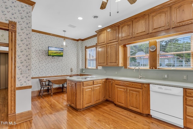 kitchen with ceiling fan, light hardwood / wood-style floors, white appliances, and pendant lighting