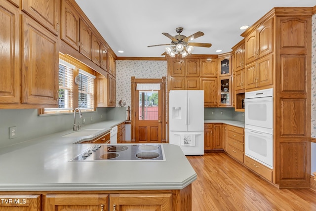 kitchen featuring ceiling fan, light hardwood / wood-style flooring, kitchen peninsula, white appliances, and ornamental molding