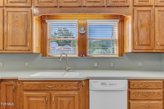 kitchen with sink and white dishwasher