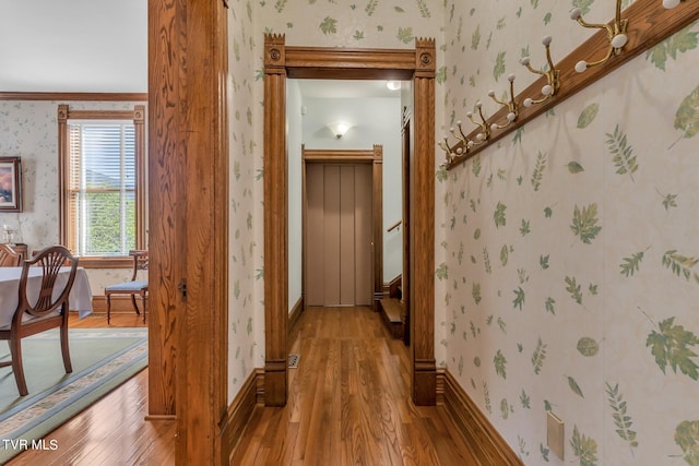 hallway with crown molding and wood-type flooring